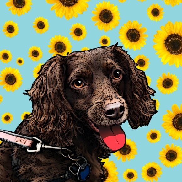 Meet your Posher, Zoe - Picture 1 of 1